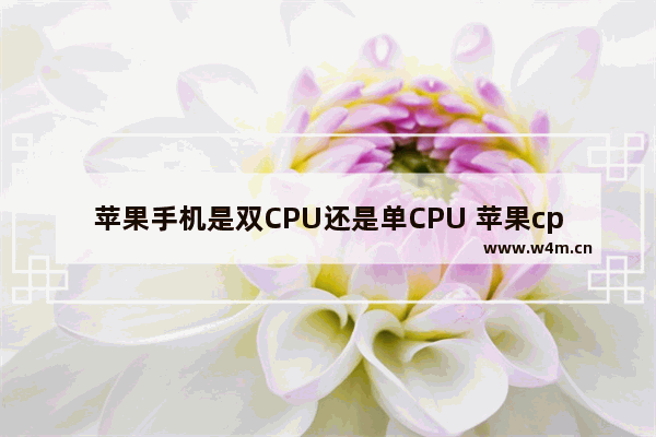 苹果手机是双CPU还是单CPU 苹果cpu设计