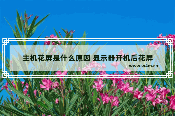 主机花屏是什么原因 显示器开机后花屏