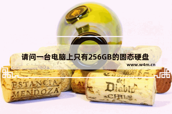 请问一台电脑上只有256GB的固态硬盘 怎么样才能让容量变多呢 可以装个另外的硬盘吗 苹果电脑固态硬盘扩容靠谱不