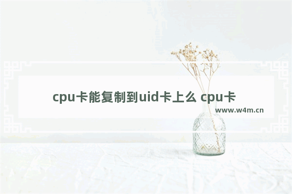 cpu卡能复制到uid卡上么 cpu卡 uid