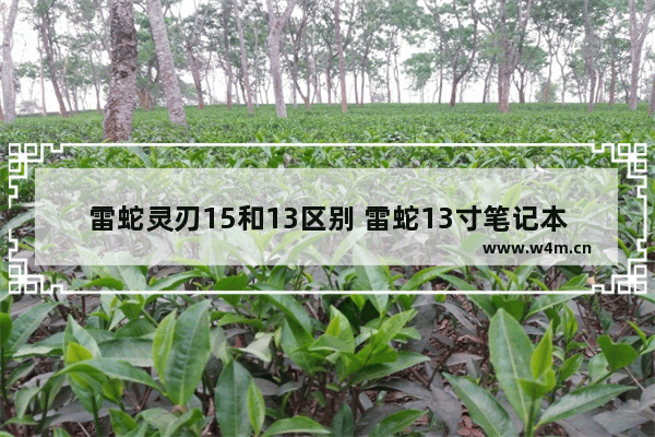 雷蛇灵刃15和13区别 雷蛇13寸笔记本电脑