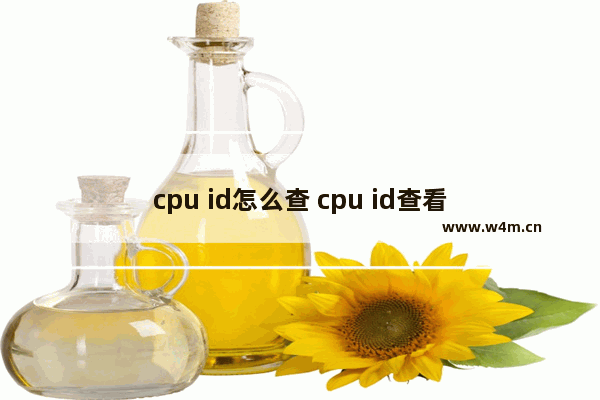 cpu id怎么查 cpu id查看