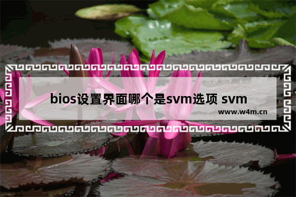 bios设置界面哪个是svm选项 svm模式 cpu