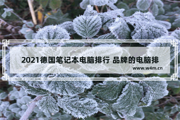 2021德国笔记本电脑排行 品牌的电脑排行