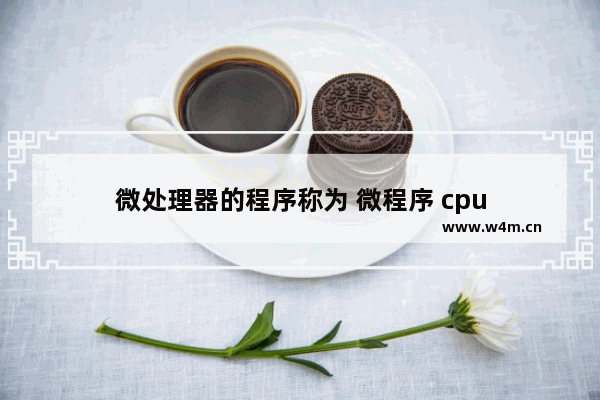 微处理器的程序称为 微程序 cpu