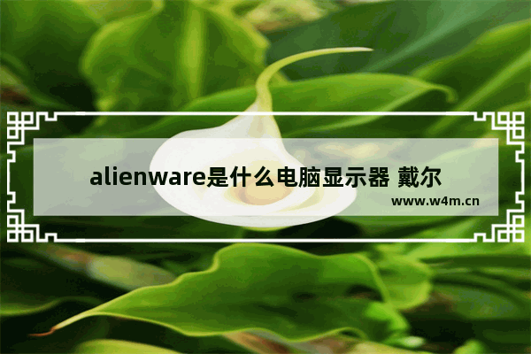 alienware是什么电脑显示器 戴尔外星人笔记本电脑配件