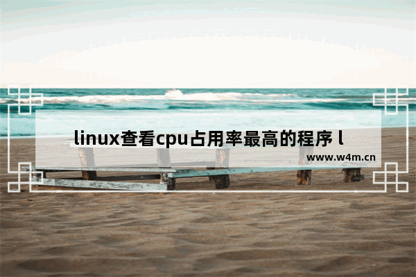 linux查看cpu占用率最高的程序 linux 查看cpu内核