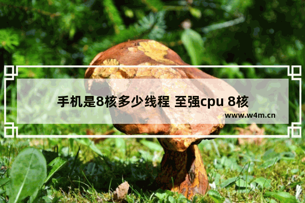 手机是8核多少线程 至强cpu 8核