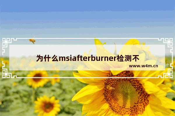 为什么msiafterburner检测不到显卡 测不到显卡