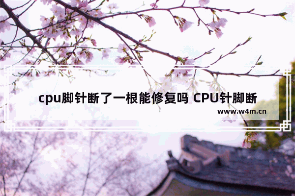 cpu脚针断了一根能修复吗 CPU针脚断了一根还能用吗