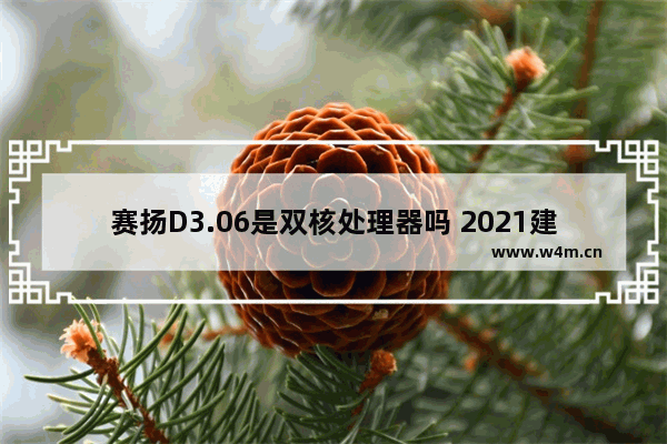 赛扬D3.06是双核处理器吗 2021建议买的千元手机5g信号稳定最关键