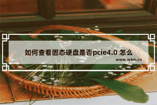 如何查看固态硬盘是否pcie4.0 怎么看笔记本电脑是否有固态硬盘