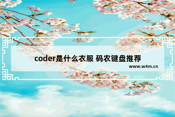 coder是什么衣服 码农键盘推荐