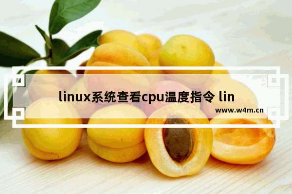 linux系统查看cpu温度指令 linux查看当前cpu