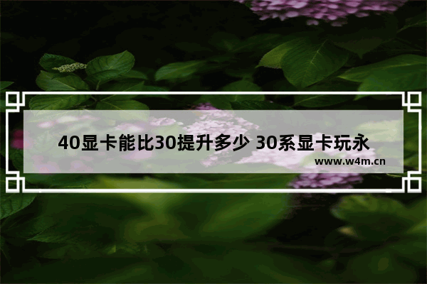 40显卡能比30提升多少 30系显卡玩永劫能开d12吗