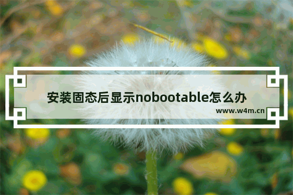 安装固态后显示nobootable怎么办 用pe把系统装到固态盘无法引导