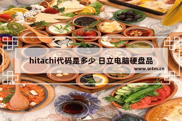 hitachi代码是多少 日立电脑硬盘品牌