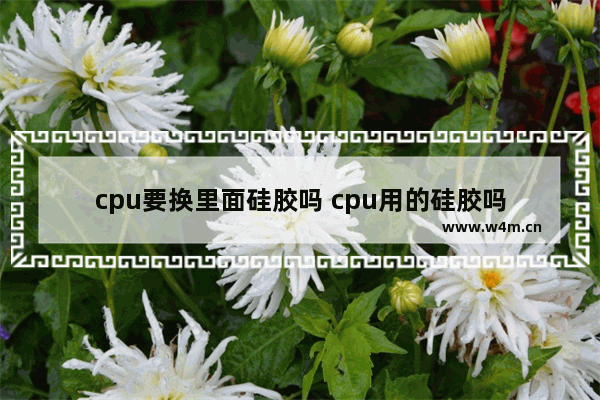 cpu要换里面硅胶吗 cpu用的硅胶吗