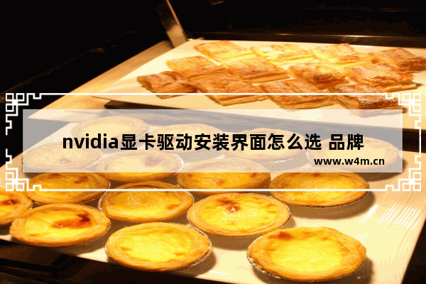 nvidia显卡驱动安装界面怎么选 品牌电脑安装显卡