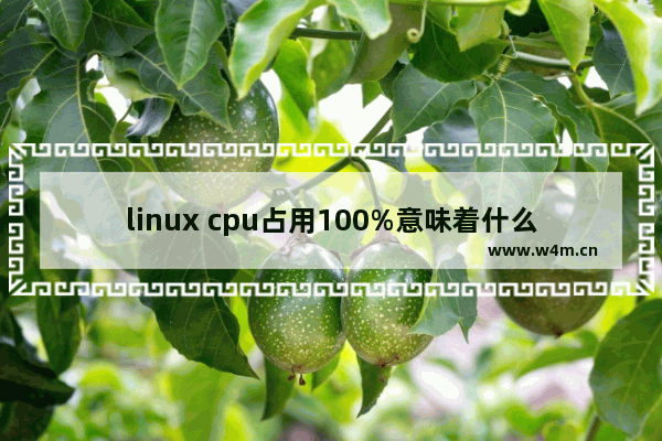 linux cpu占用100%意味着什么 linux 进程cpu占用率