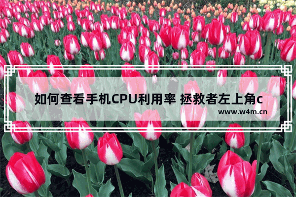 如何查看手机CPU利用率 拯救者左上角cpu占用率参数怎么开