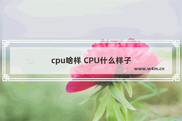 cpu啥样 CPU什么样子