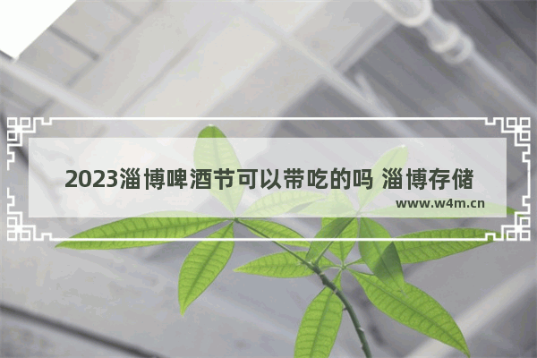 2023淄博啤酒节可以带吃的吗 淄博存储和固态硬盘