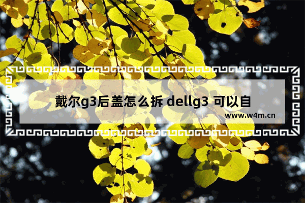 戴尔g3后盖怎么拆 dellg3 可以自己更换固态硬盘吗