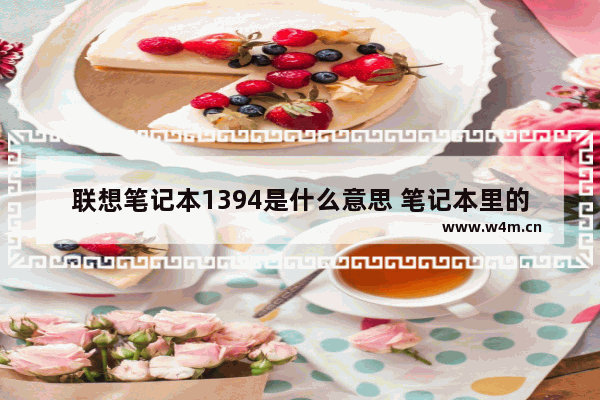 联想笔记本1394是什么意思 笔记本里的1394网络适配器是什么