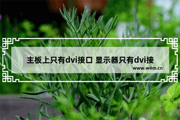 主板上只有dvi接口 显示器只有dvi接口