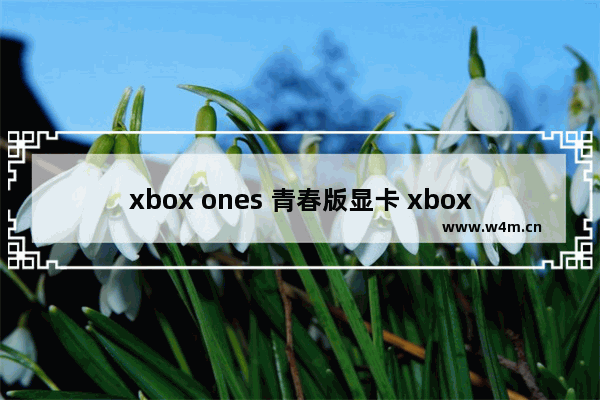 xbox ones 青春版显卡 xboxone cpu