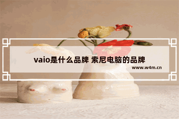 vaio是什么品牌 索尼电脑的品牌