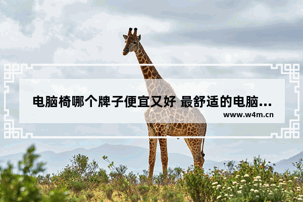 电脑椅哪个牌子便宜又好 最舒适的电脑椅是什么 性价比最好的是哪个牌子