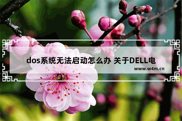 dos系统无法启动怎么办 关于DELL电脑的启动 如何进入DOS