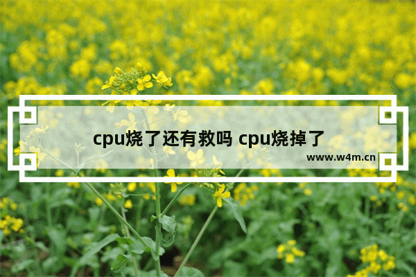 cpu烧了还有救吗 cpu烧掉了