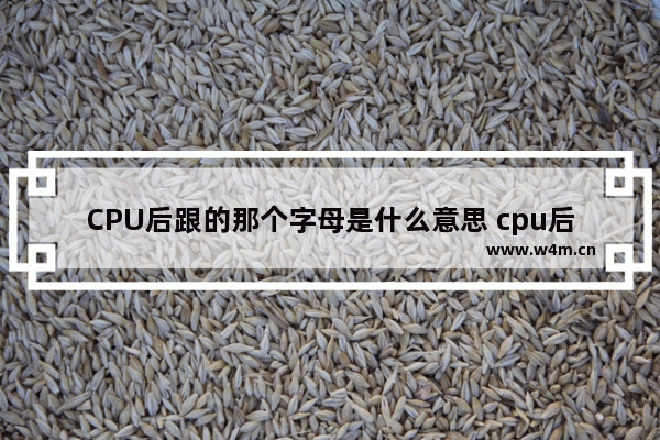 CPU后跟的那个字母是什么意思 cpu后边字母