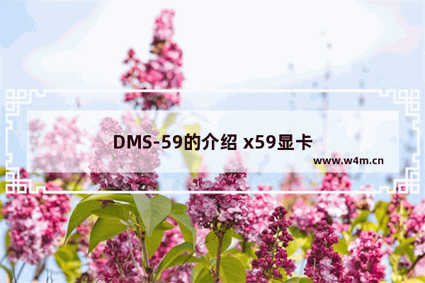 DMS-59的介绍 x59显卡