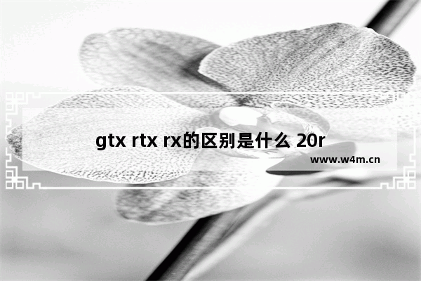 gtx rtx rx的区别是什么 20r显卡