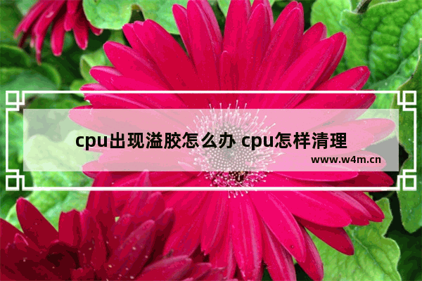 cpu出现溢胶怎么办 cpu怎样清理