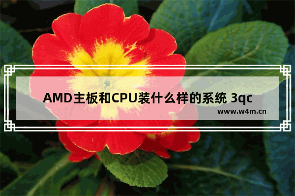 AMD主板和CPU装什么样的系统 3qcd显卡