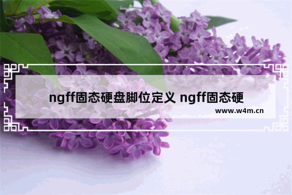 ngff固态硬盘脚位定义 ngff固态硬盘脚位定义