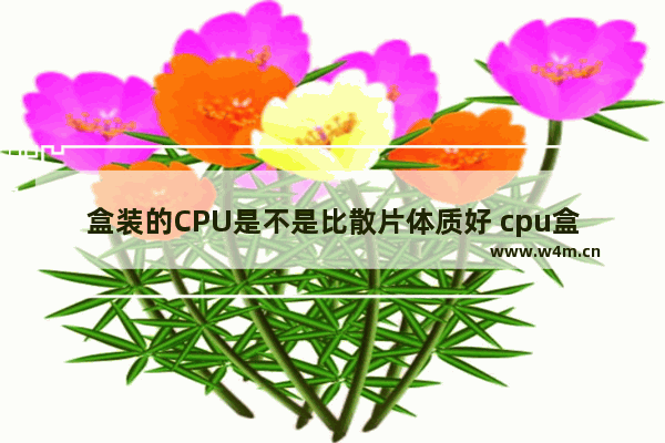 盒装的CPU是不是比散片体质好 cpu盒装体质