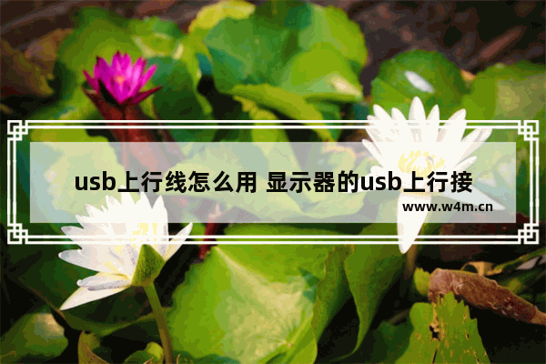 usb上行线怎么用 显示器的usb上行接口