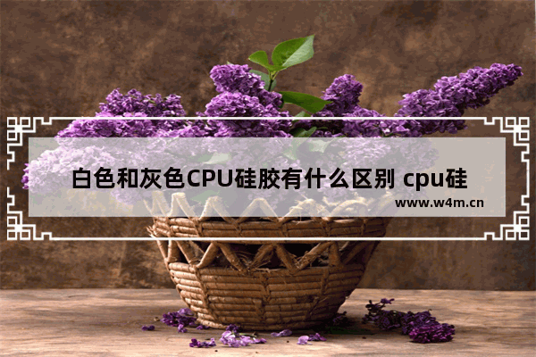 白色和灰色CPU硅胶有什么区别 cpu硅胶价格