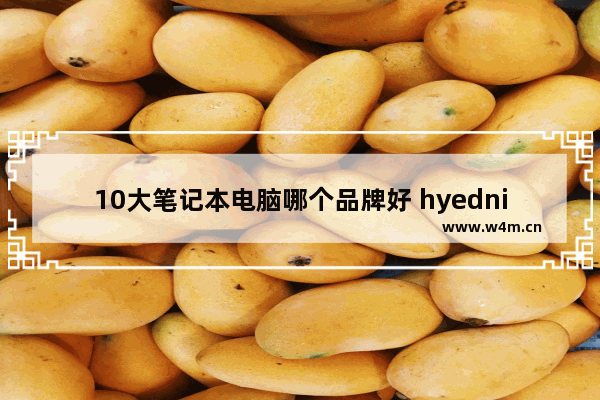 10大笔记本电脑哪个品牌好 hyednia是什么品牌的电脑