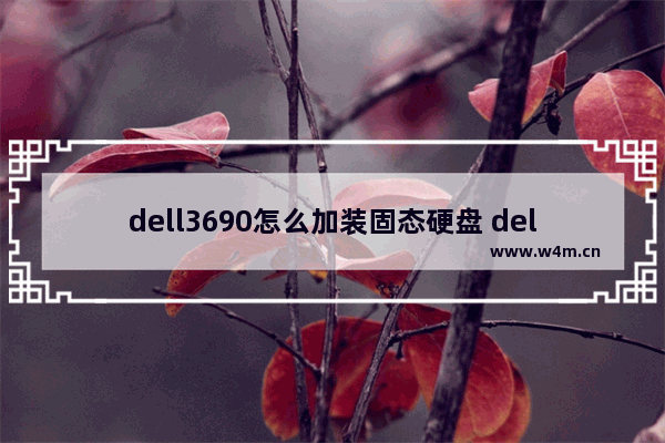 dell3690怎么加装固态硬盘 dell系列升级固态硬盘