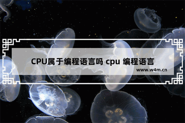 CPU属于编程语言吗 cpu 编程语言