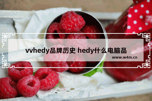 vvhedy品牌历史 hedy什么电脑品牌