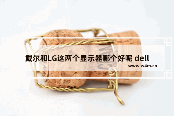 戴尔和LG这两个显示器哪个好呢 dell lg显示器怎么样