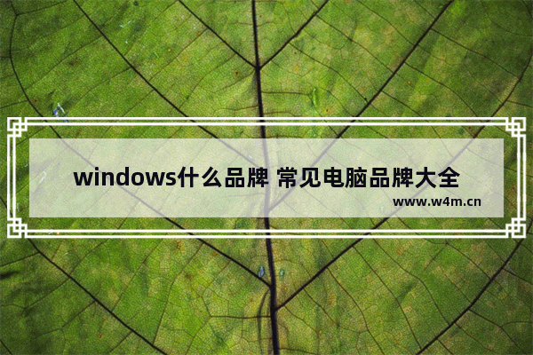 windows什么品牌 常见电脑品牌大全